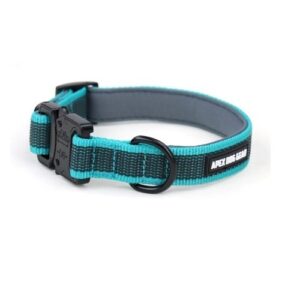 APEX DOG GEAR collar ajustable con cierre metálico turquesa para perros