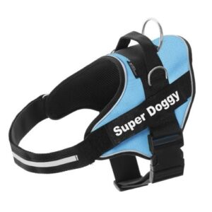Arnés personalizado Super Doggy para perros color Azul turquesa