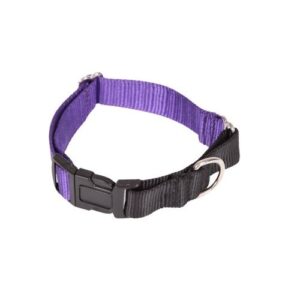 Arppe collar regulable de nylon de adiestramiento púrpura para perros