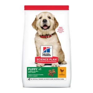 Hill's Science Plan Puppy large Pollo pienso para perros
