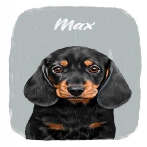 Mascochula max retrato realista personalizado en lámina con tu mascota gris