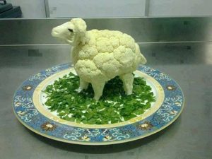 coliflor oveja